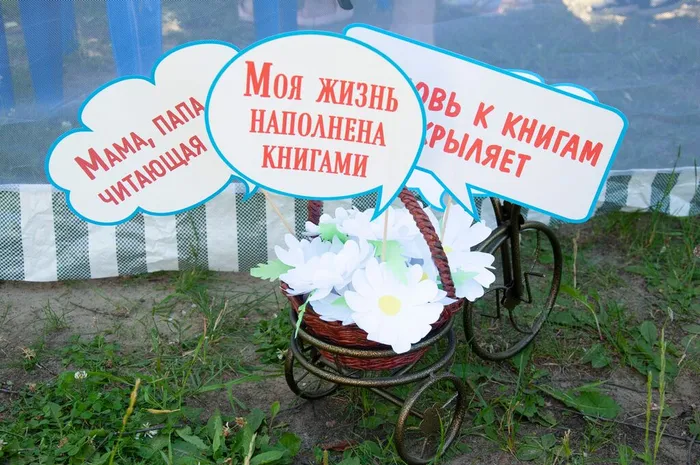 РОМАШКОВАЯ КАРУСЕЛЬ