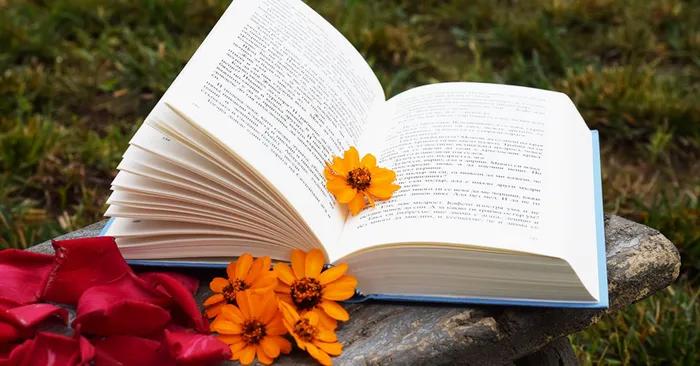 Просто отрывок из книги