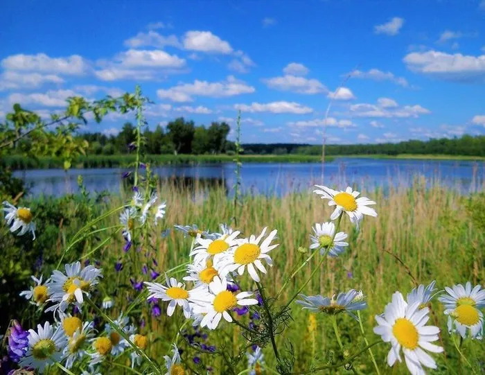 «Вот оно какое, наше лето!..»