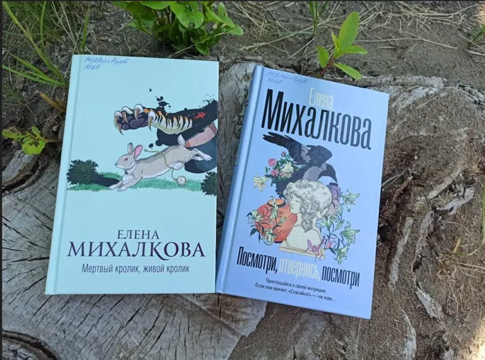 Книжные новинки