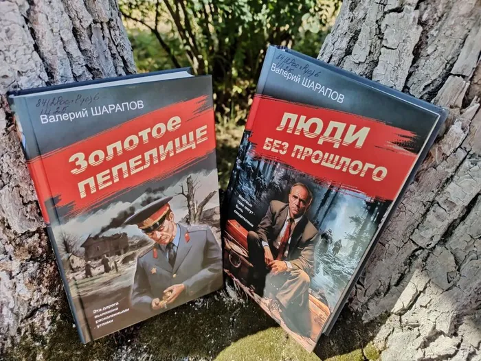 Книжные новинки: детективный роман