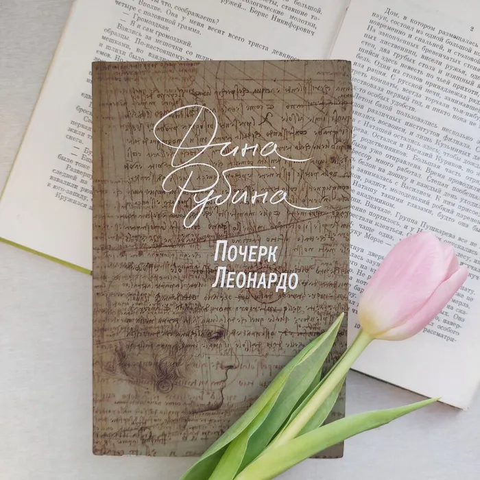 Просто отрывок из книги