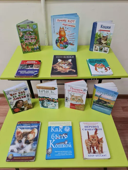 Книжная выставка "Книги о кошках"