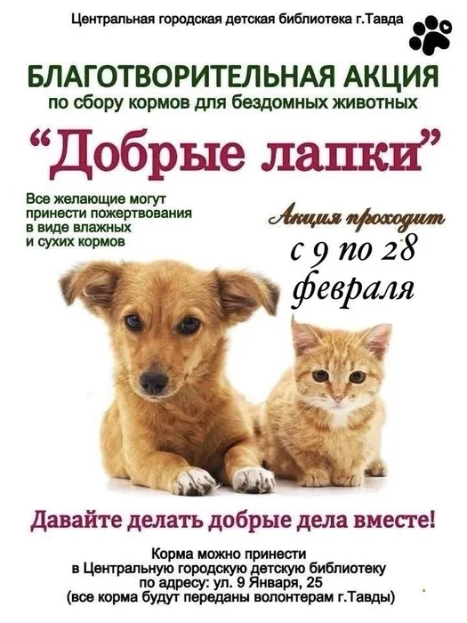 Благотворительная акция «Добрые лапки»