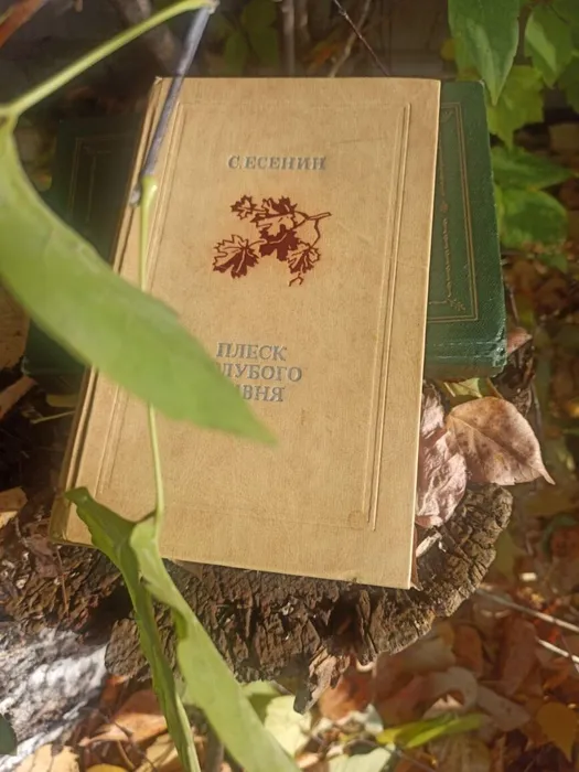 Сергей Есенин&nbsp;&nbsp;"Плеск голубого ливня"