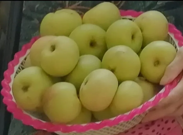 ЯБЛОЧНЫЕ УГОЩЕНИЯ