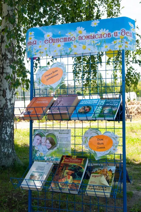 РОМАШКОВАЯ КАРУСЕЛЬ