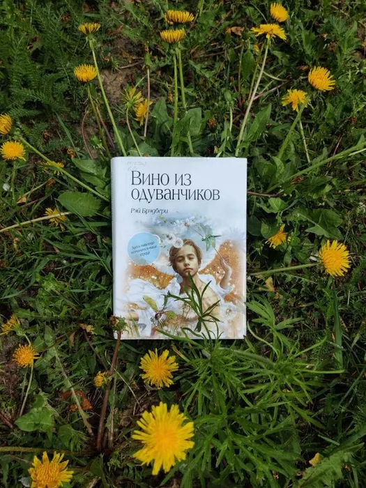 Рэй Брэдбери. Вино из одуванчиков